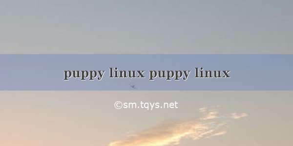 puppy linux puppy linux