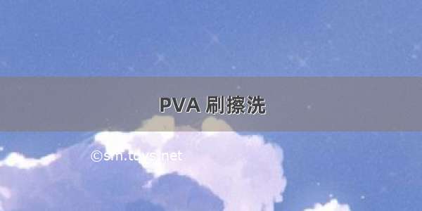 PVA 刷擦洗