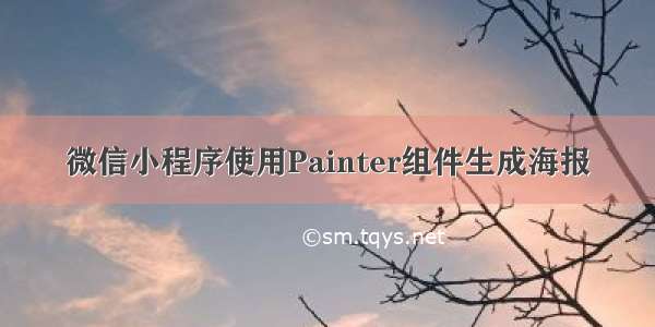 微信小程序使用Painter组件生成海报