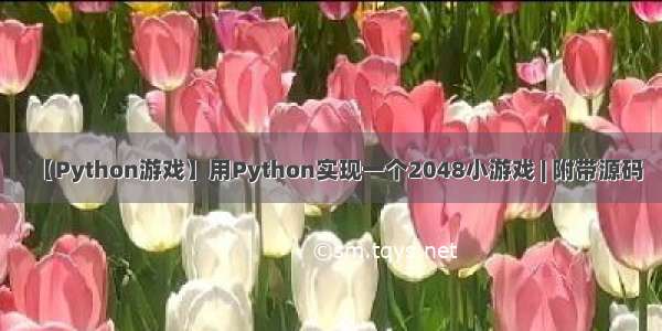 【Python游戏】用Python实现一个2048小游戏 | 附带源码
