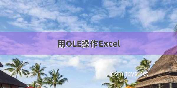 用OLE操作Excel