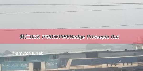 蕤仁NUX PRINSEPIAEHedge Prinsepia Nut