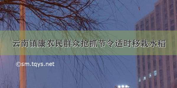 云南镇康农民群众抢抓节令适时移栽水稻