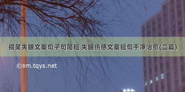 搞笑失眠文案句子句简短 失眠伤感文案短句干净治愈(二篇)