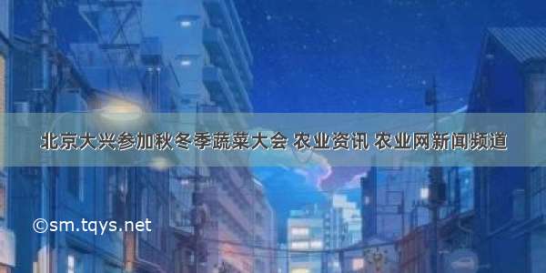 北京大兴参加秋冬季蔬菜大会 农业资讯 农业网新闻频道