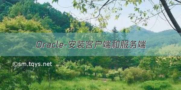 Oracle-安装客户端和服务端