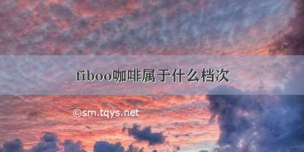 fiboo咖啡属于什么档次