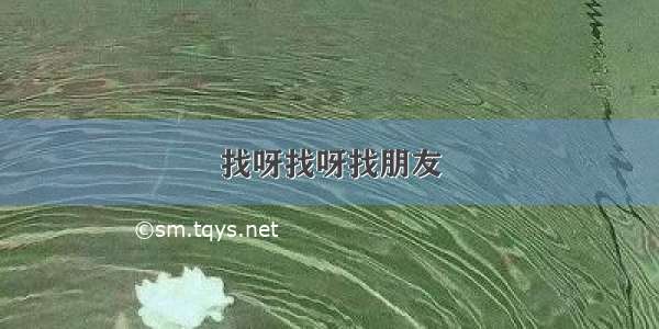 找呀找呀找朋友