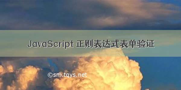 JavaScript 正则表达式表单验证