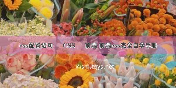 css配置语句 – CSS – 前端 前端css完全自学手册