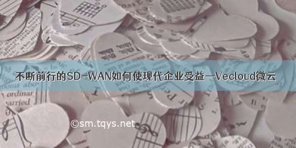 不断前行的SD-WAN如何使现代企业受益—Vecloud微云