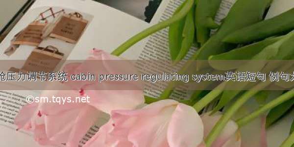 座舱压力调节系统 cabin pressure regulating system英语短句 例句大全