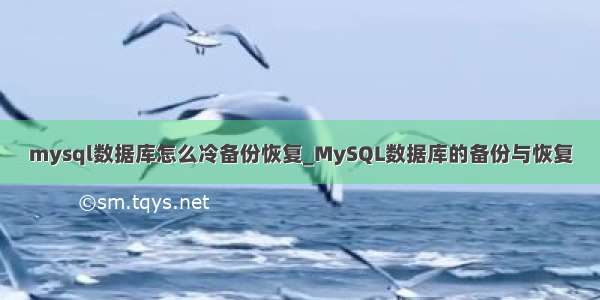 mysql数据库怎么冷备份恢复_MySQL数据库的备份与恢复