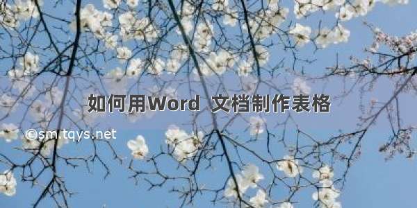 如何用Word  文档制作表格