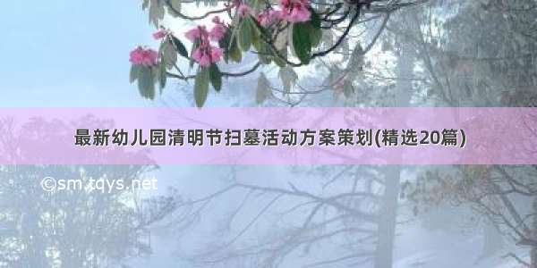 最新幼儿园清明节扫墓活动方案策划(精选20篇)