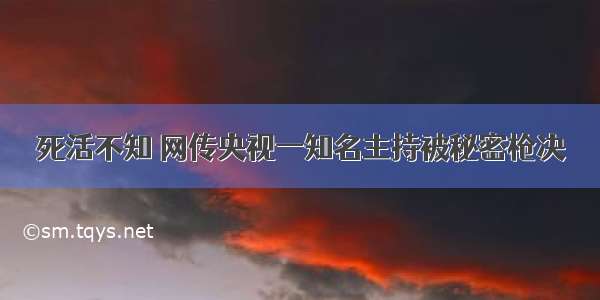 死活不知 网传央视一知名主持被秘密枪决