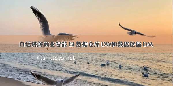 白话讲解商业智能 BI 数据仓库 DW和数据挖掘 DM