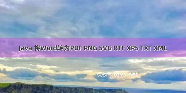 Java 将Word转为PDF PNG SVG RTF XPS TXT XML