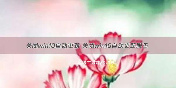 关闭win10自动更新 关闭win10自动更新服务