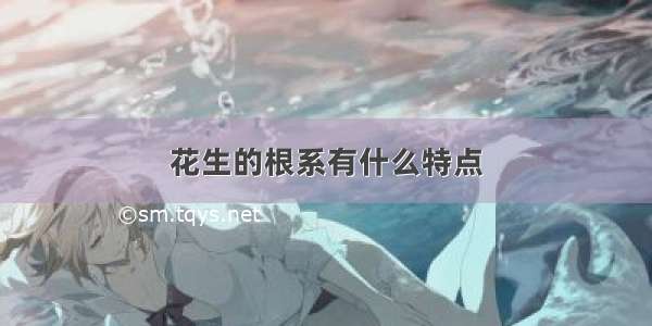 花生的根系有什么特点