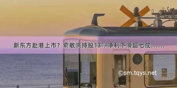 新东方赴港上市？俞敏洪持股13% 净利下滑超七成……