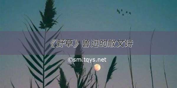 《野草》鲁迅的散文诗