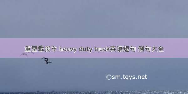 重型载货车 heavy duty truck英语短句 例句大全