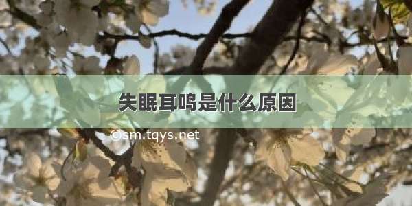 失眠耳鸣是什么原因