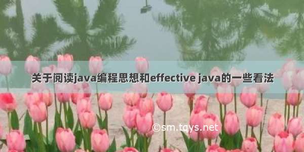 关于阅读java编程思想和effective java的一些看法