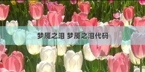 梦魇之泪 梦魇之泪代码