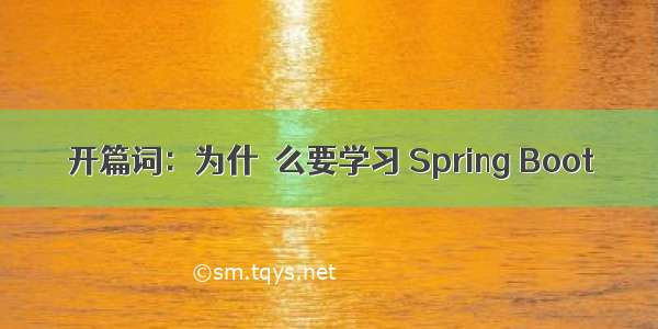 开篇词：为什什么要学习 Spring Boot