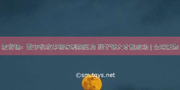 麦肯锡：数字化改革带来利润压力 胆子够大才能成功 | 全球聚焦