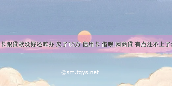 欠信用卡跟贷款没钱还咋办 欠了15万 信用卡 借呗 网商贷 有点还不上了怎么办 –