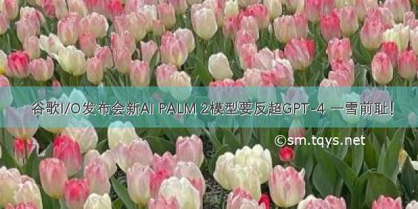  谷歌I/O发布会新AI PALM 2模型要反超GPT-4 一雪前耻！