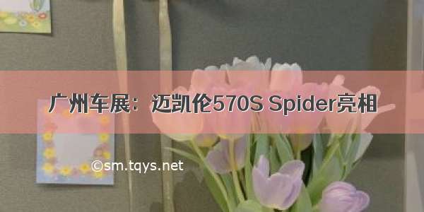 广州车展：迈凯伦570S Spider亮相