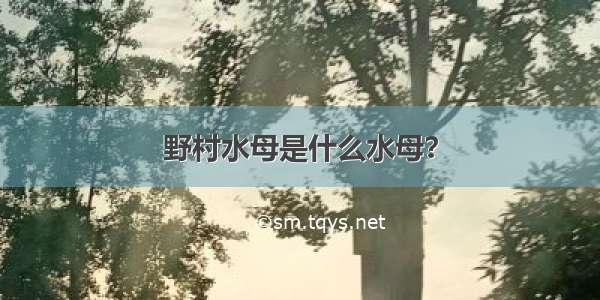 野村水母是什么水母？