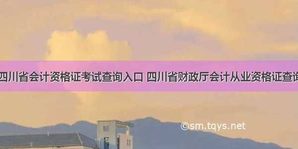 四川省会计资格证考试查询入口 四川省财政厅会计从业资格证查询