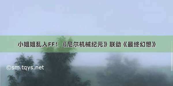 小姐姐乱入FF！《尼尔机械纪元》联动《最终幻想》