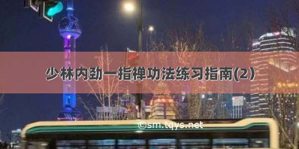 少林内劲一指禅功法练习指南(2）