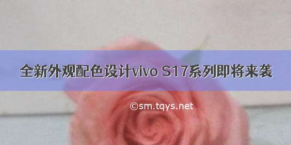 全新外观配色设计vivo S17系列即将来袭