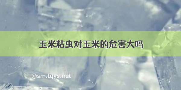 玉米粘虫对玉米的危害大吗