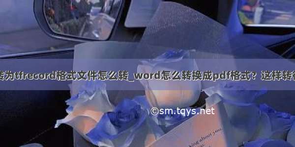 json转为tfrecord格式文件怎么转_word怎么转换成pdf格式？这样转很方便