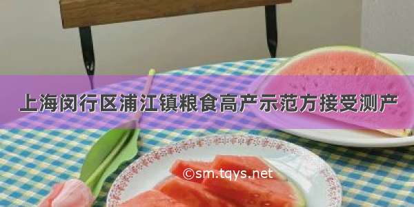 上海闵行区浦江镇粮食高产示范方接受测产