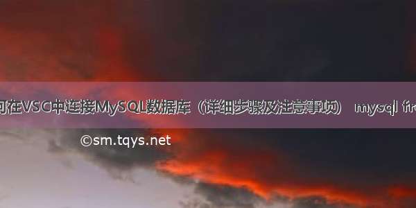 如何在VSC中连接MySQL数据库（详细步骤及注意事项） mysql frout