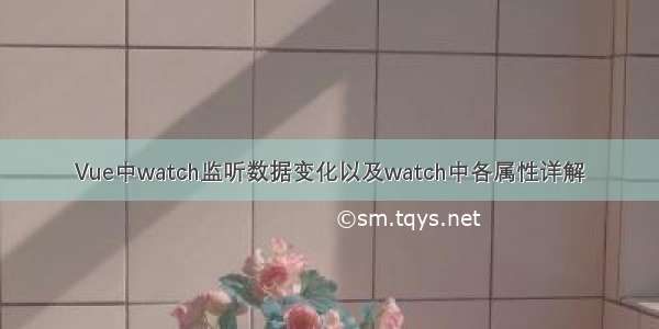 Vue中watch监听数据变化以及watch中各属性详解