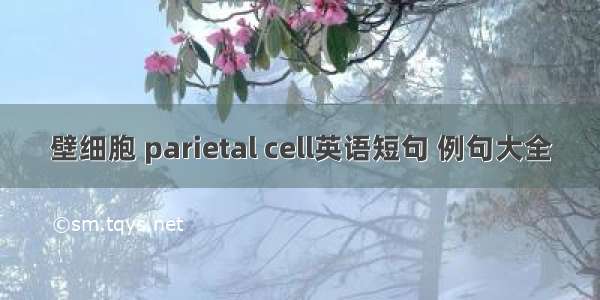 壁细胞 parietal cell英语短句 例句大全