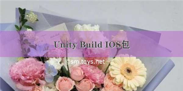 Unity Build IOS包
