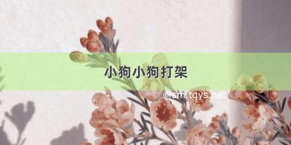 小狗小狗打架