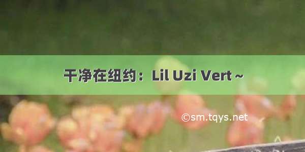 干净在纽约：Lil Uzi Vert～