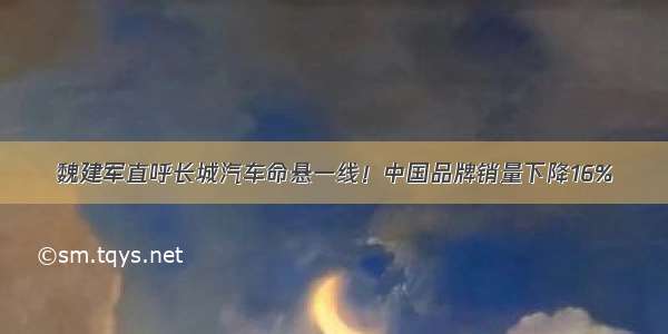 魏建军直呼长城汽车命悬一线！中国品牌销量下降16%